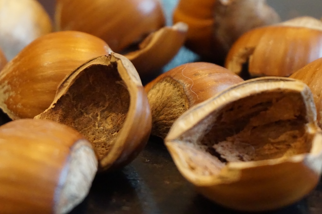 Foto von halben Haselnuss-Schalen
